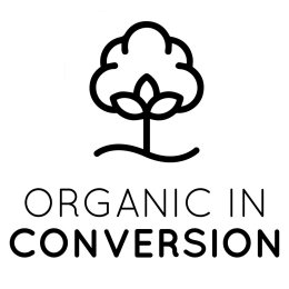 Algodão Orgânico em Conversão