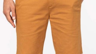 Native Spirit Organic Bermuda Shorts