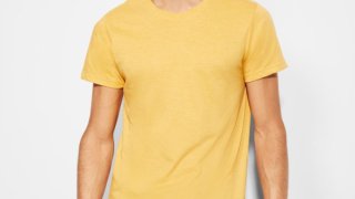 T-shirt Mélangé Homme Roly Fox (150g)